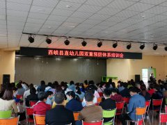 西峽縣標桿幼兒園雙重預防體系培訓會
